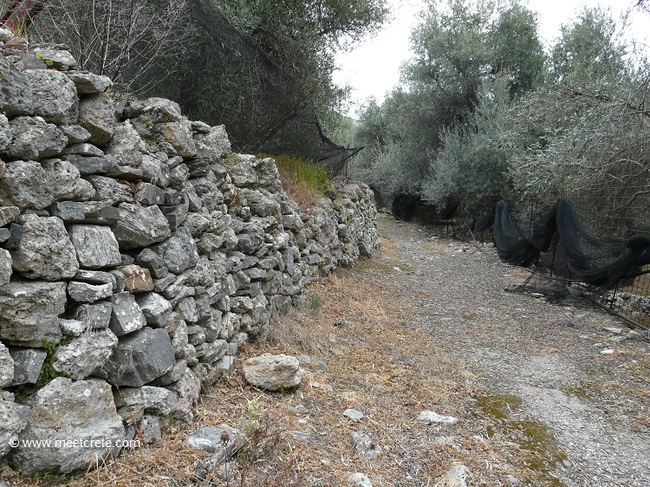 Das antike Elyros - unterwegs nach Sougia