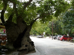 Im Dorf Fodele auf Kreta