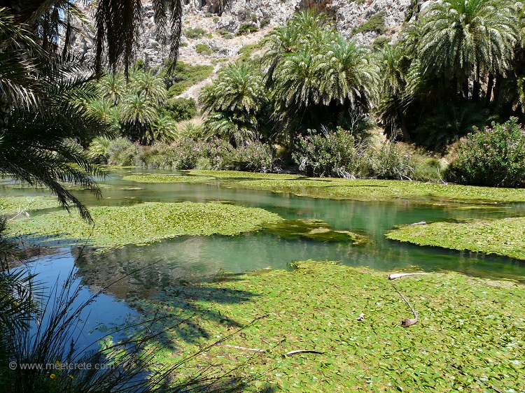 Preveli palm beach Off-Road Trip Crete - The wild south west Crete