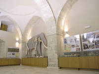 Paleontological Museum Rethymnon in Rethymnon city in Cretethe Mosque of Veli Pasha 