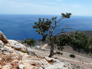 Blick auf den Seitan Limania Strand auf der Akrotiri Halbinsel bei Chania