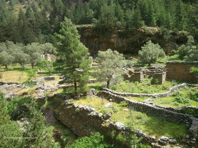 Samaria Schlucht_Die Ruinen des heute verlassenen Dorfes Samaria