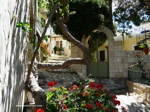 Crete - Upper Platanias alley