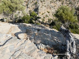 Road Trip Akrotiri with hike to the monastery Katholiko